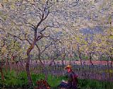 An Orchard in Spring